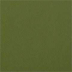 Genesis High Performance Vinyl Upholstery